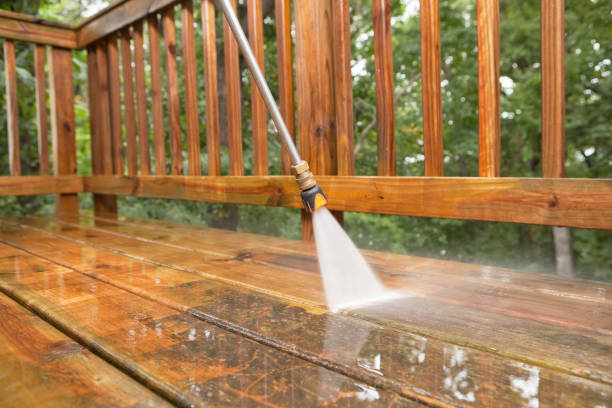 Best Driveway Pressure Washing  in Newberry, FL